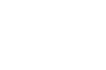 VSV Logo negativ